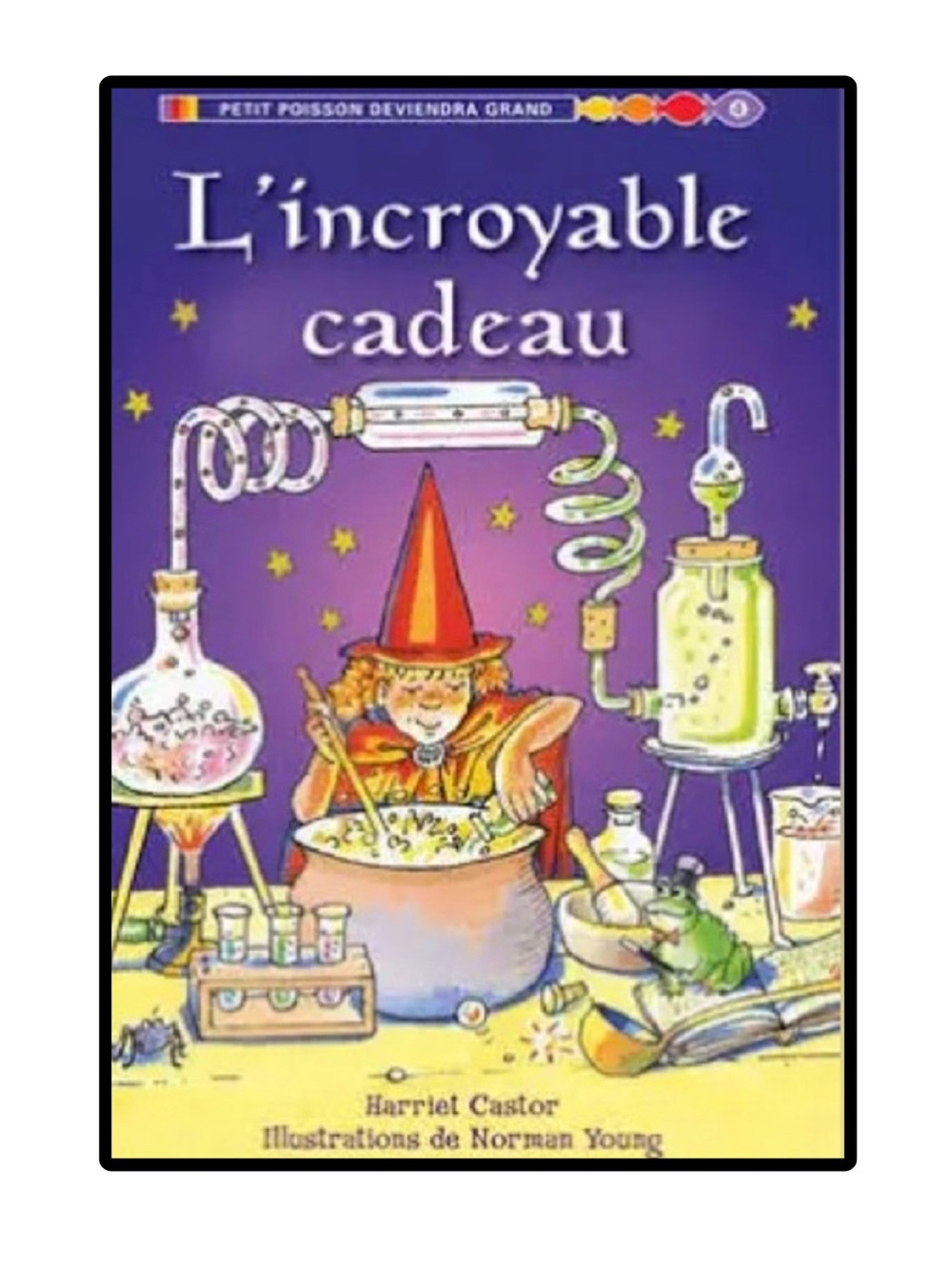 BUNDLE & SAVE 🎉 FRENCH L’incroyable cadeau Level 4 Hardcover Book